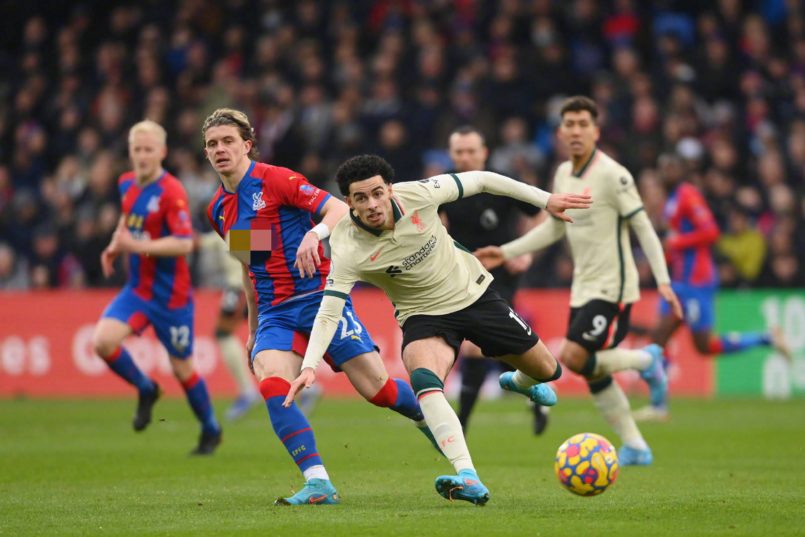 并可能成为 并可能成为